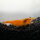 Orange Fire Garnele (Sakura Sunkist) Neocaridina davidi DNZ