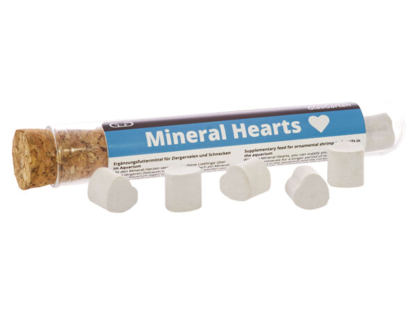 Mineral Hearts GlasGarten 8 Stück