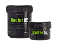 Bacter AE GlasGarten