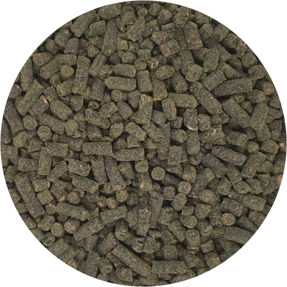Color Magic Garnelenfutter